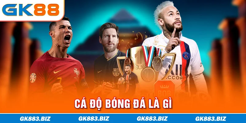 Cá độ bóng đá là gì