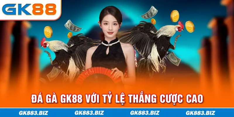 Đá gà GK88 với tỷ lệ thắng cược cao