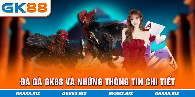 Đá gà GK88 và những thông tin chi tiết