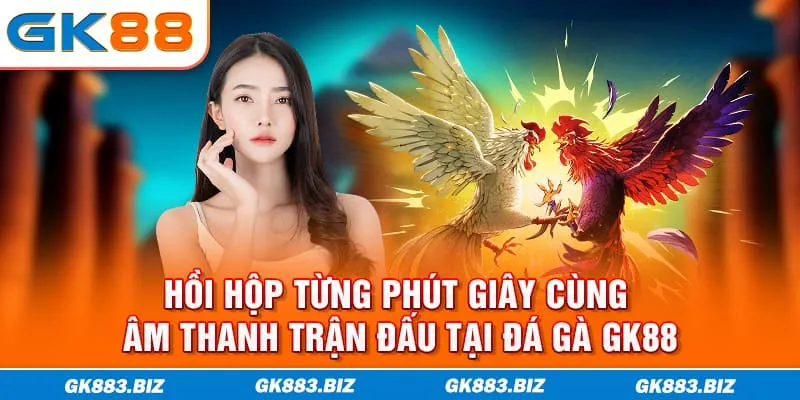 Hồi hộp từng phút giây cùng âm thanh trận đấu tại đá gà GK88
