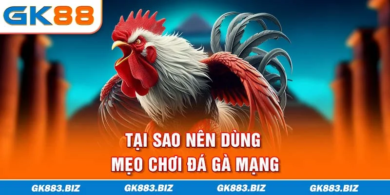 Tại sao nên dùng mẹo chơi đá gà mạng