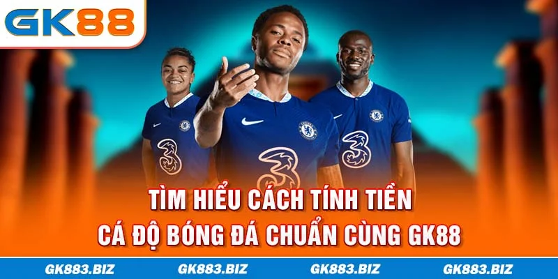 Tìm Hiểu Cách Tính Tiền Cá Độ Bóng Đá Chuẩn Cùng GK88