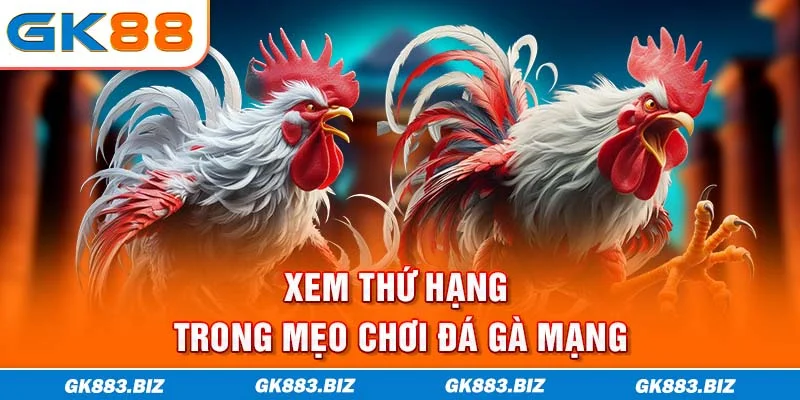 Xem thứ hạng trong mẹo chơi đá gà mạng